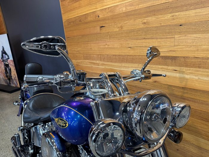 2009 Harley-davidson FLSTN SOFTAIL DELUXE Blue