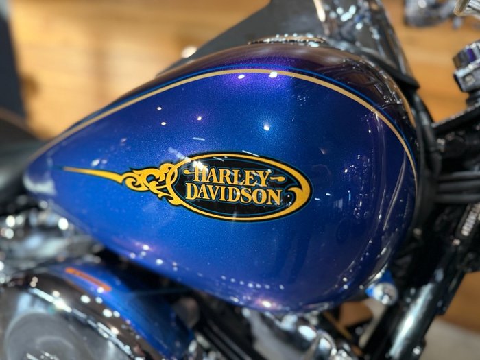 2009 Harley-davidson FLSTN SOFTAIL DELUXE Blue