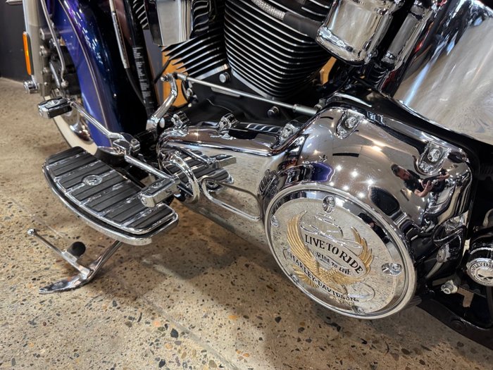 2009 Harley-davidson FLSTN SOFTAIL DELUXE Blue