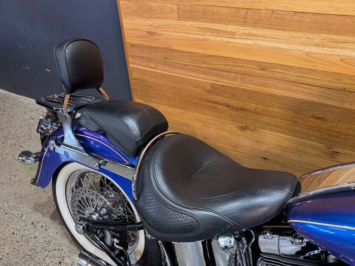 2009 Harley-davidson FLSTN SOFTAIL DELUXE Blue