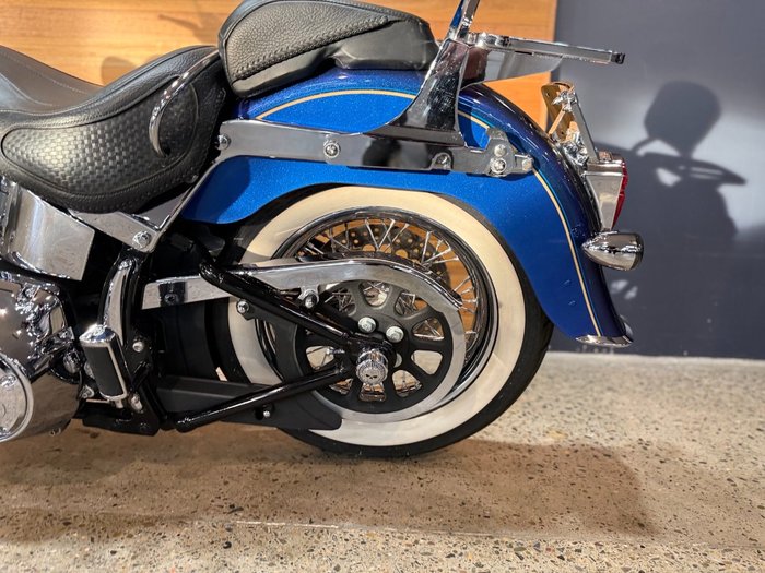 2009 Harley-davidson FLSTN SOFTAIL DELUXE Blue