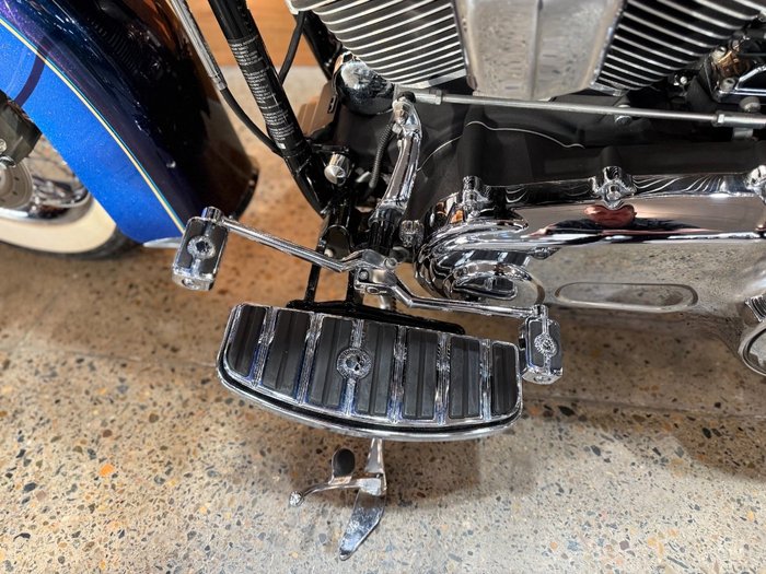 2009 Harley-davidson FLSTN SOFTAIL DELUXE Blue