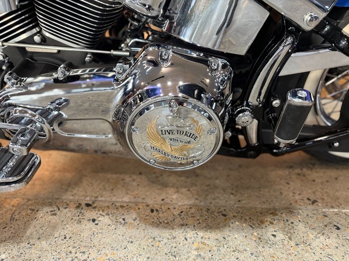 2009 Harley-davidson FLSTN SOFTAIL DELUXE Blue