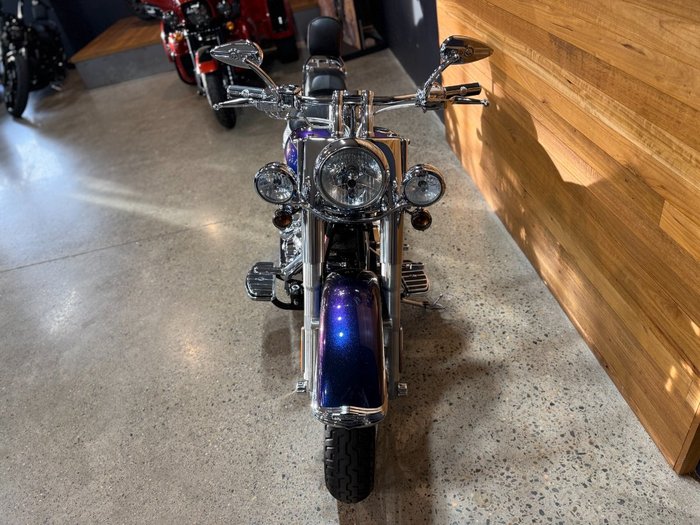 2009 Harley-davidson FLSTN SOFTAIL DELUXE Blue