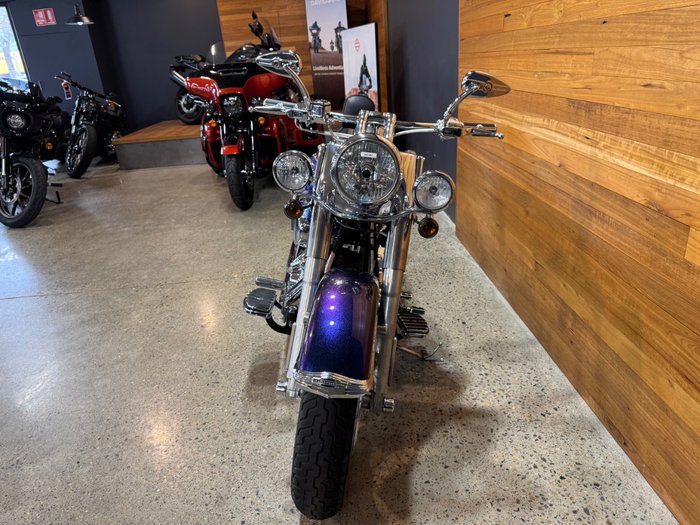 2009 Harley-davidson FLSTN SOFTAIL DELUXE Blue