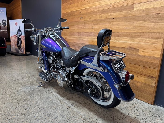 2009 Harley-davidson FLSTN SOFTAIL DELUXE Blue