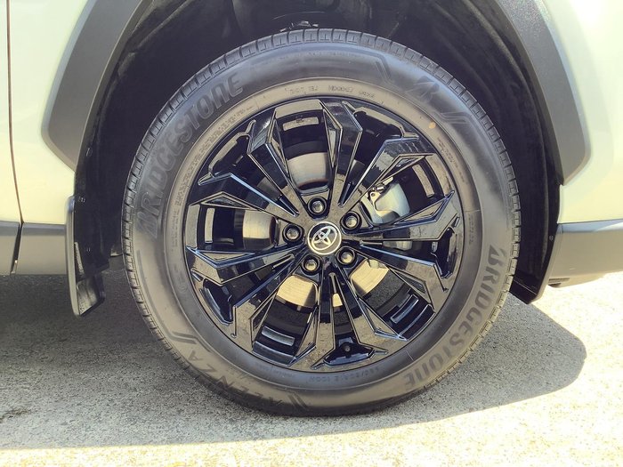 2023 Toyota RAV4 Cruiser