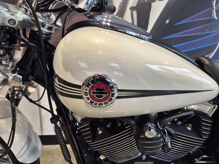 2014 Harley-Davidson Breakout 103 (FXSB) Softail Gold