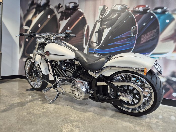 2014 Harley-Davidson Breakout 103 (FXSB) Softail Gold