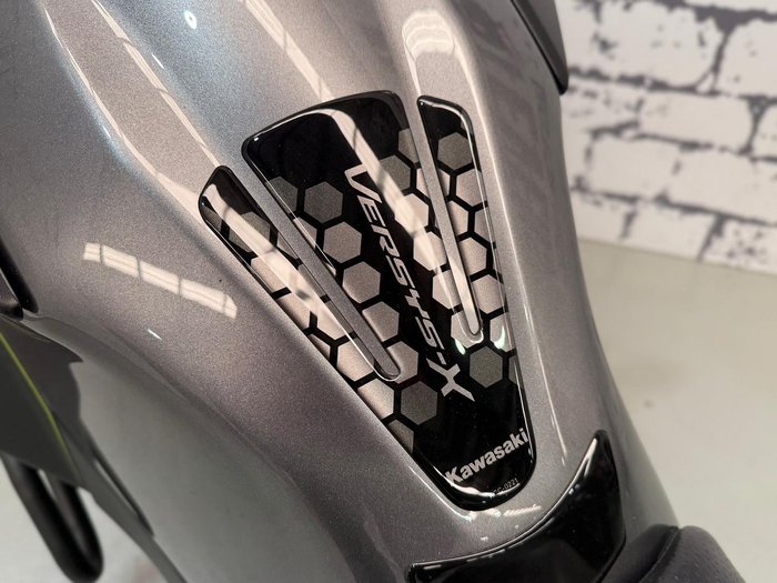 2020 Kawasaki Versys-X 300 SE (KLE300C) Versys Grey