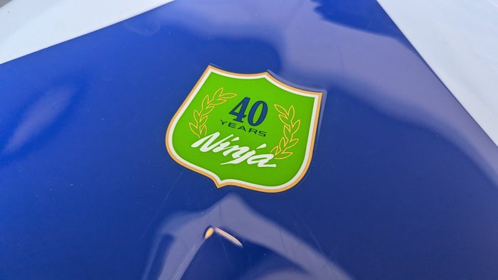 2024 Kawasaki NINJA ZX-6R (636) KRT EDITION Green