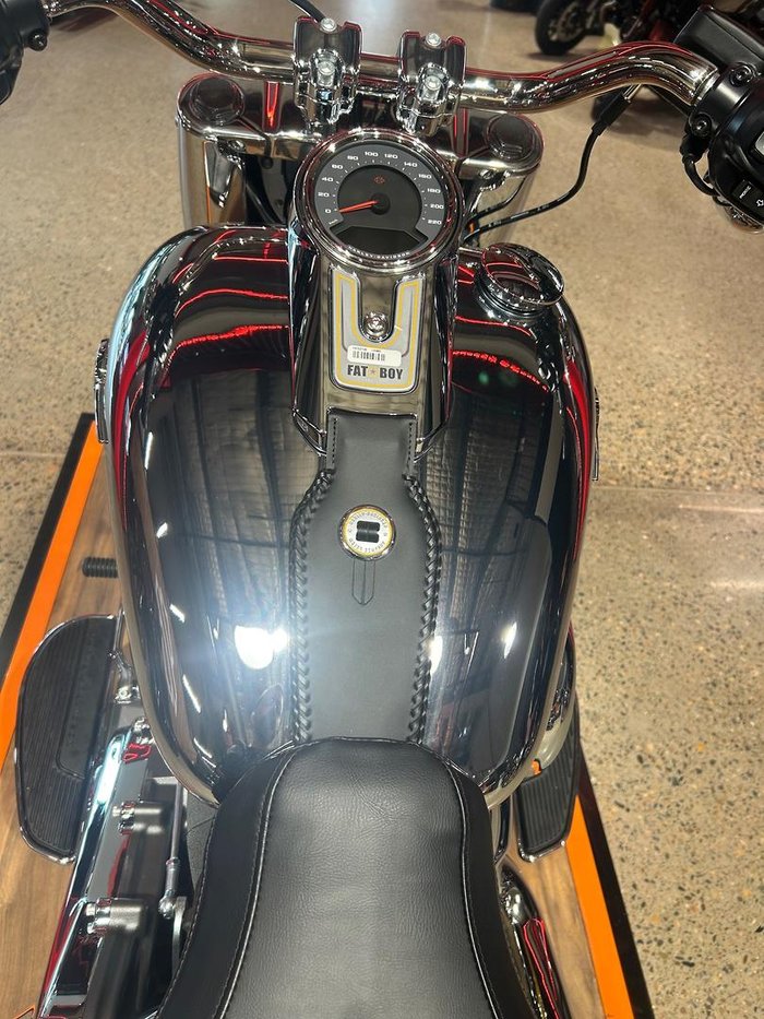 2025 Harley-Davidson Fat Boy Gray Ghost (FLSTFI) Softail
