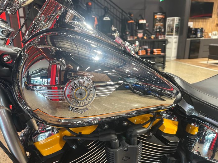 2025 Harley-Davidson Fat Boy Gray Ghost (FLSTFI) Softail