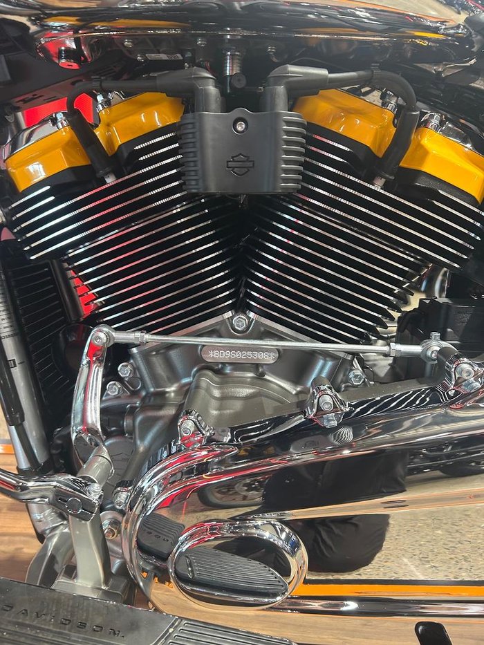 2025 Harley-Davidson Fat Boy Gray Ghost (FLSTFI) Softail