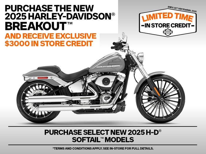 2025 Harley-davidson FXBR BREAKOUT (117) billiard gray