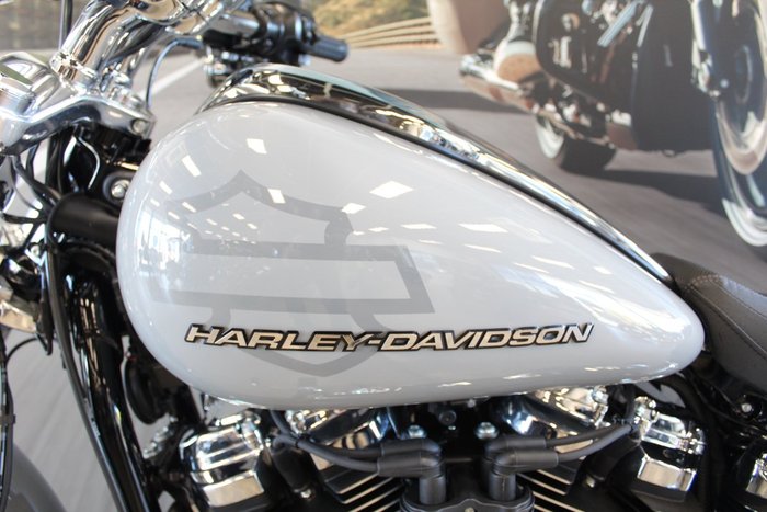 2025 Harley-davidson FXBR BREAKOUT (117) billiard gray