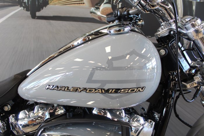 2025 Harley-davidson FXBR BREAKOUT (117) billiard gray