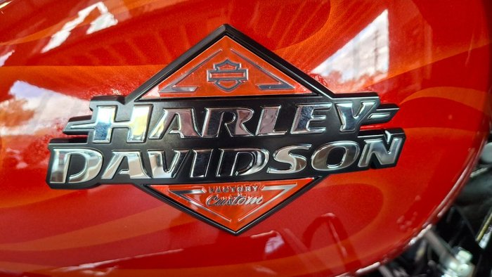 2025 Harley-davidson FLHX STREET GLIDE (117) WHSKEY FIRSTORM