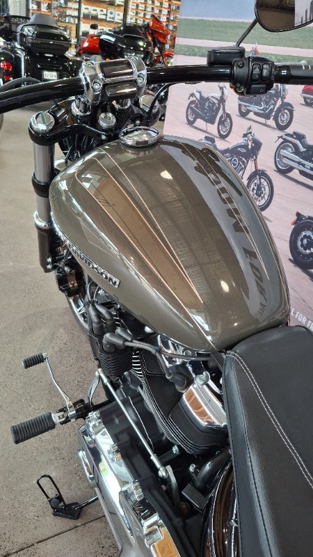 2019 Harley-davidson FXBRS BREAKOUT S (114) Grey