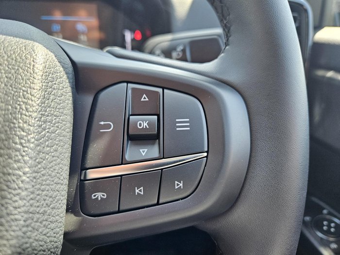 2025 Ford Everest Tremor MY25.50 4X4 Dual Range Command Grey