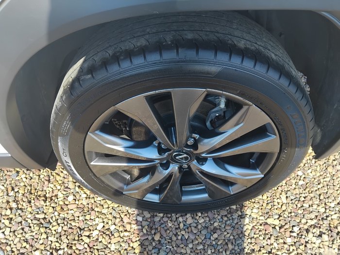 2020 Lexus UX UX250h F Sport