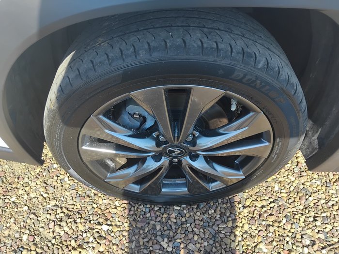 2020 Lexus UX UX250h F Sport