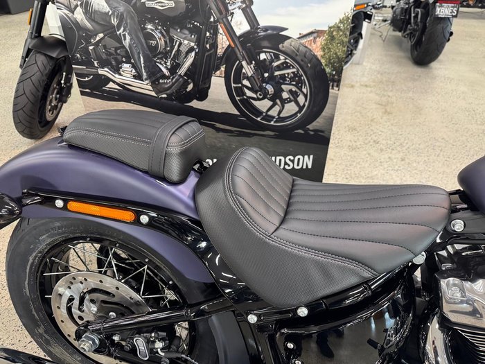 2025 Harley-Davidson Street Bob 117 (FXBB) Softail Purple