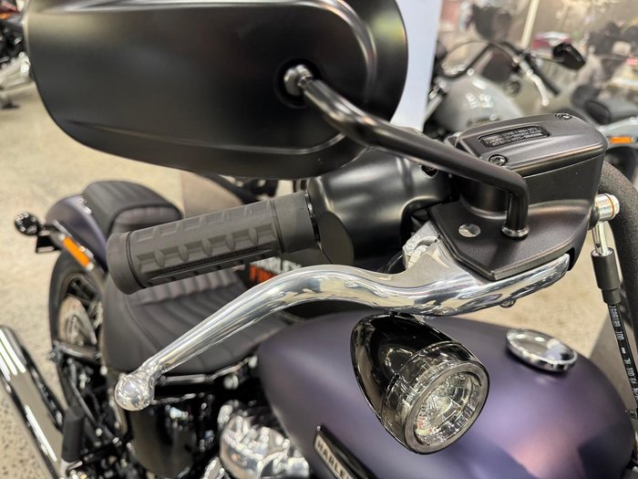 2025 Harley-Davidson Street Bob 117 (FXBB) Softail Purple