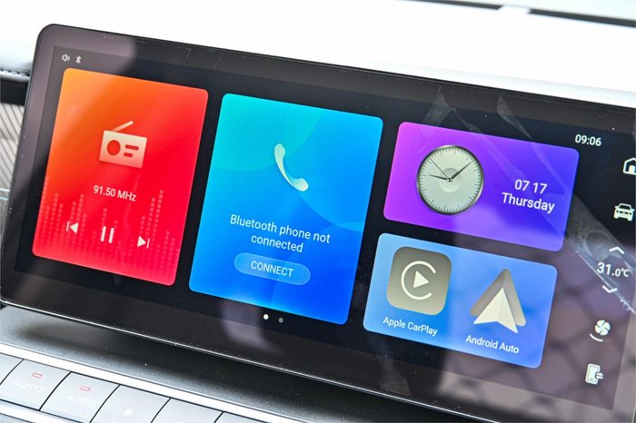 2025 GWM Cannon Premium