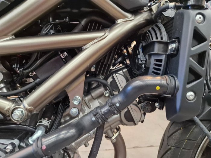 2024 Suzuki SV650 GREY