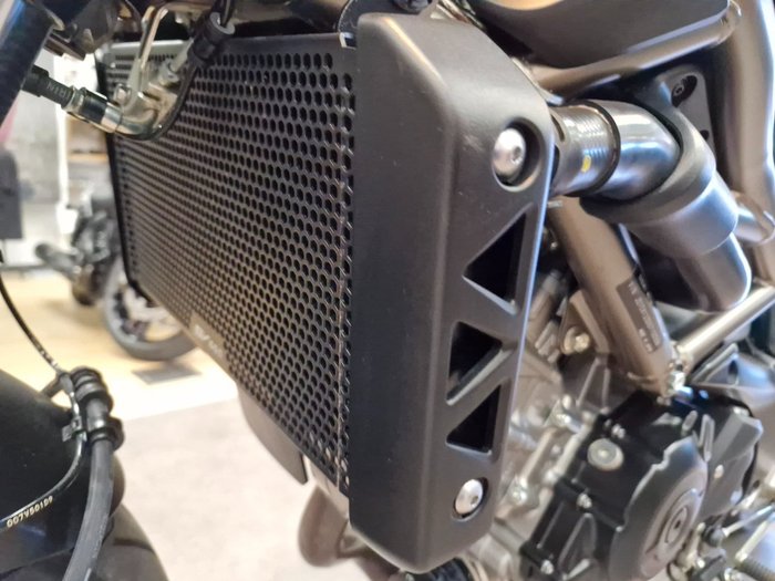 2024 Suzuki SV650 GREY