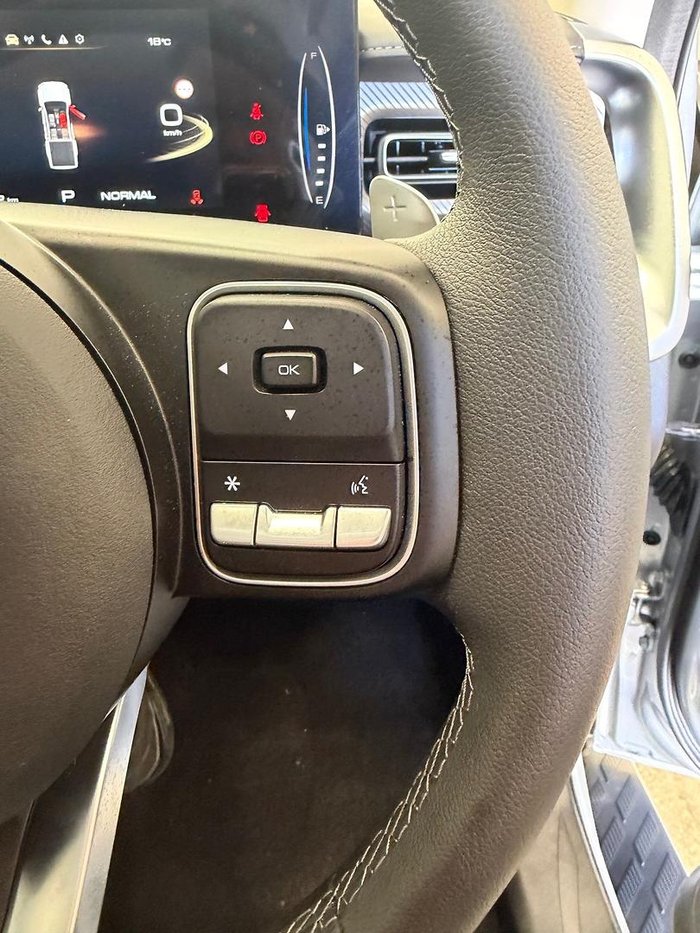 2025 GWM Cannon Premium