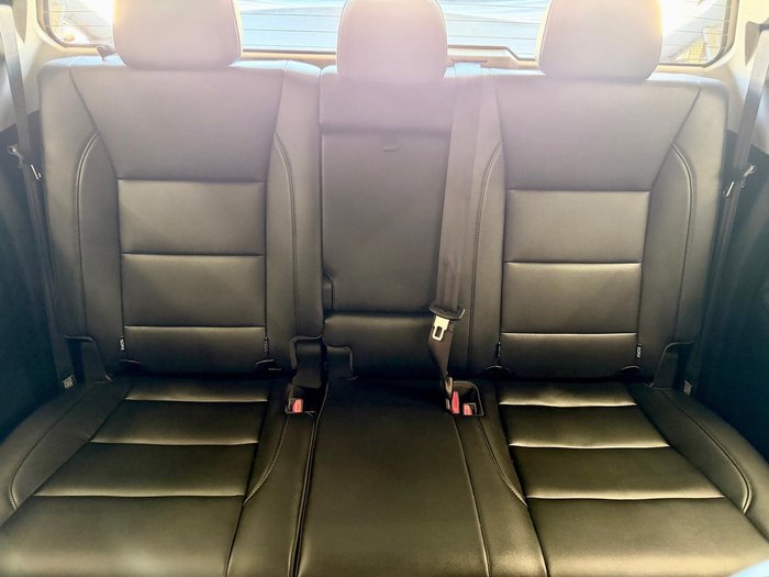 2025 GWM Cannon Premium