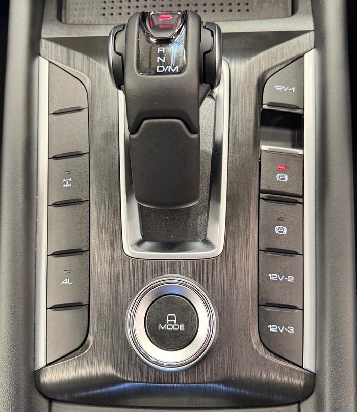 2025 GWM Cannon Premium