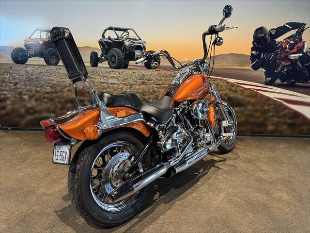 2001 Harley-Davidson Springer Softail 88 (FXSTS)