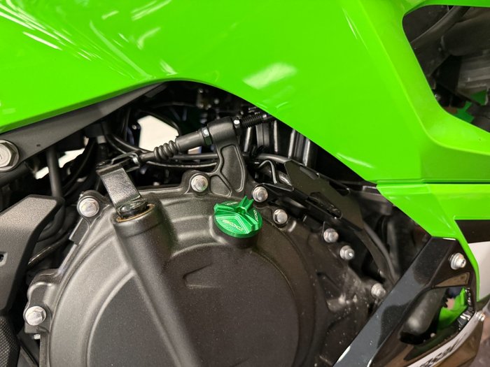 2025 Kawasaki 2025 Kawasaki 500CC Ninja 500 SE LAMS GREEN