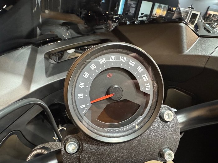 2025 Harley-davidson FXLRST LOW RIDER ST (117) WHISKEY FI