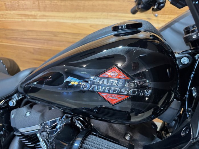 2025 Harley-davidson FXLRST LOW RIDER ST (117) WHISKEY FI