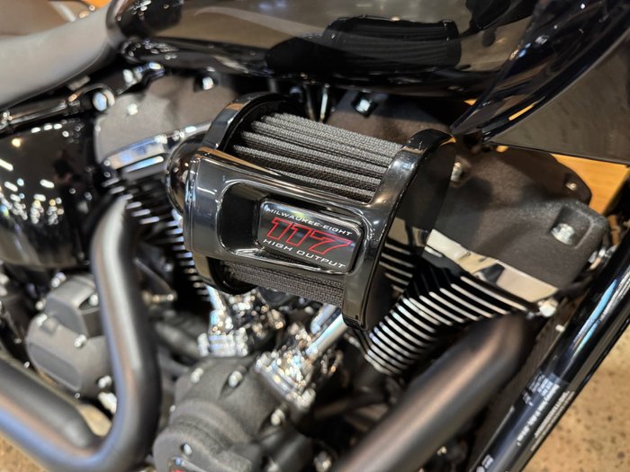 2025 Harley-davidson FXLRST LOW RIDER ST (117) WHISKEY FI