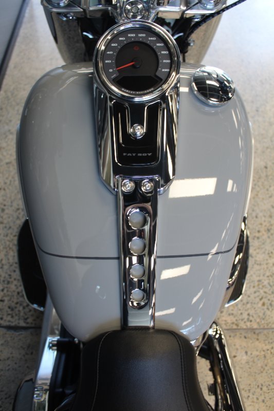 2025 Harley-davidson FLFB FAT BOY (117) billiard gray