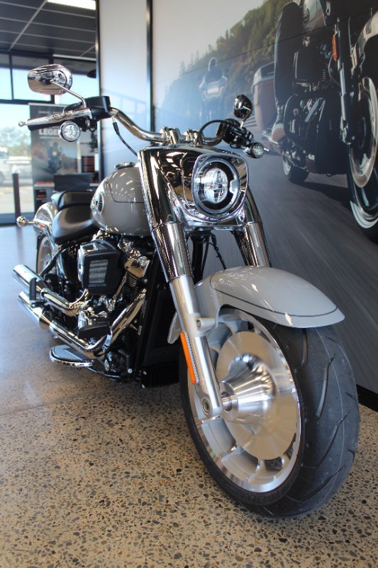 2025 Harley-davidson FLFB FAT BOY (117) billiard gray