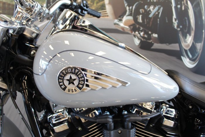 2025 Harley-davidson FLFB FAT BOY (117) billiard gray