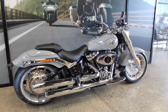 2025 Harley-davidson FLFB FAT BOY (117) billiard gray