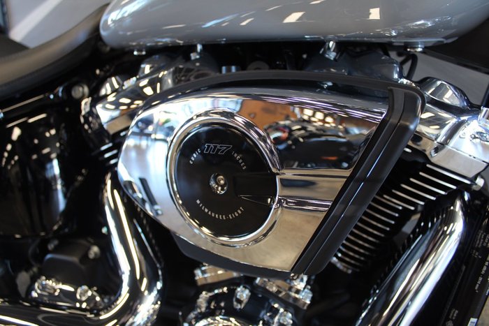2025 Harley-davidson FLFB FAT BOY (117) billiard gray
