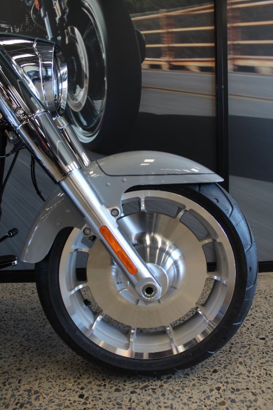2025 Harley-davidson FLFB FAT BOY (117) billiard gray