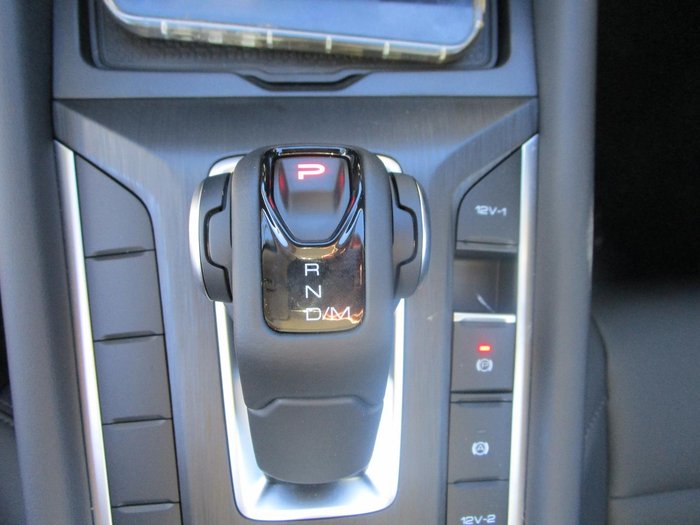 2025 GWM Cannon Premium