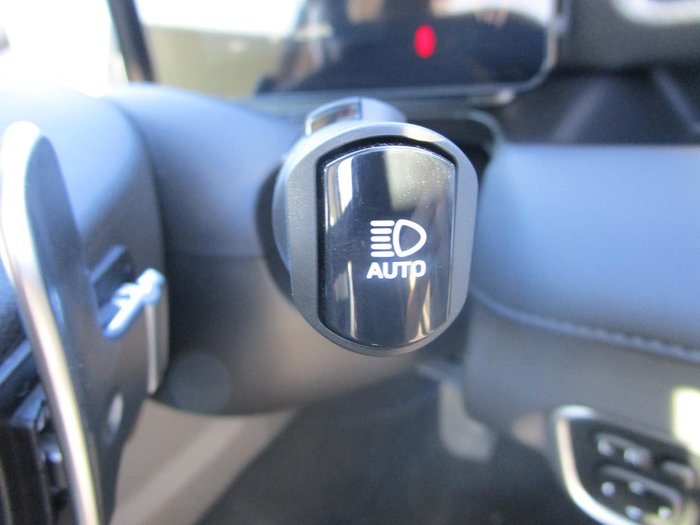 2025 GWM Cannon Premium