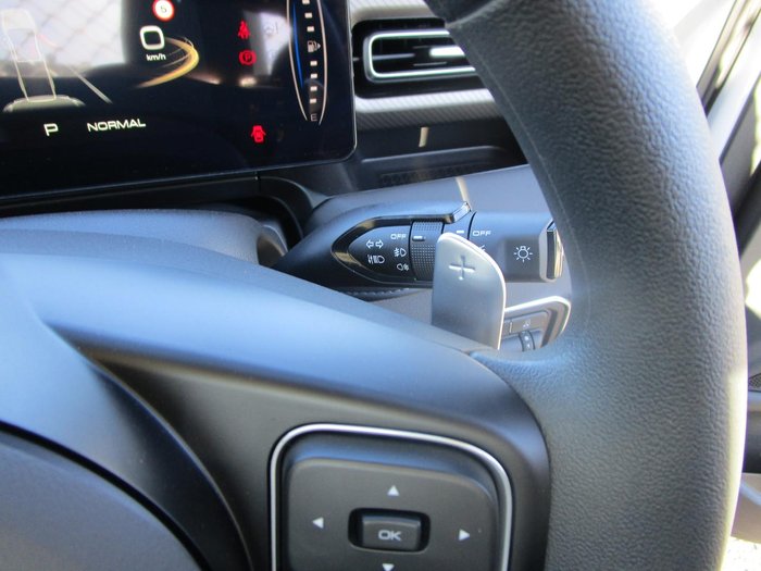 2025 GWM Cannon Premium