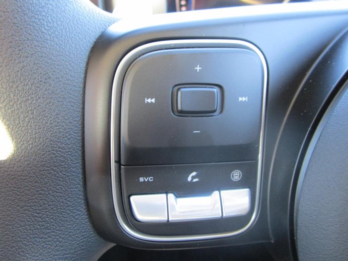 2025 GWM Cannon Premium