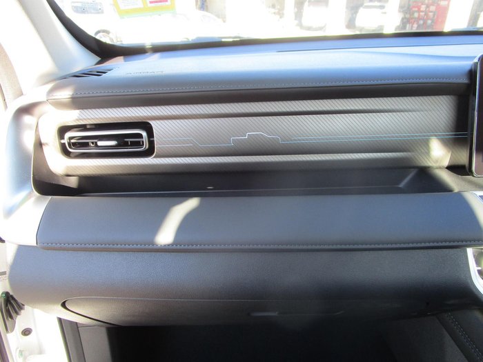 2025 GWM Cannon Premium